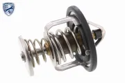 Thermostat, Kühlmittel ACKOJA A55-99-0002