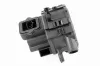 Sekundärluftpumpe 12 V ACKOJA A63-63-0002 Bild Sekundärluftpumpe 12 V ACKOJA A63-63-0002