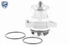Wasserpumpe, Motorkühlung ACKOJA A64-50003