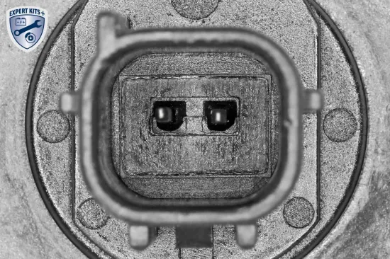 Radlagersatz Hinterachse ACKOJA A70-0391 Bild Radlagersatz Hinterachse ACKOJA A70-0391