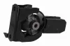 Lagerung, Motor vorne ACKOJA A70-1247 Bild Lagerung, Motor vorne ACKOJA A70-1247