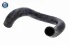Kühlerschlauch rechts unten ACKOJA A70-1312 Bild Kühlerschlauch rechts unten ACKOJA A70-1312
