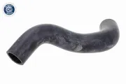 Kühlerschlauch rechts unten ACKOJA A70-1314