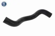 Kühlerschlauch links unten ACKOJA A70-1319