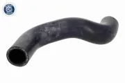Kühlerschlauch rechts unten ACKOJA A70-1324