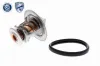 Thermostat, Kühlmittel ACKOJA A70-99-0031 Bild Thermostat, Kühlmittel ACKOJA A70-99-0031