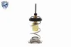 Thermostat, Kühlmittel ACKOJA A70-99-0034 Bild Thermostat, Kühlmittel ACKOJA A70-99-0034
