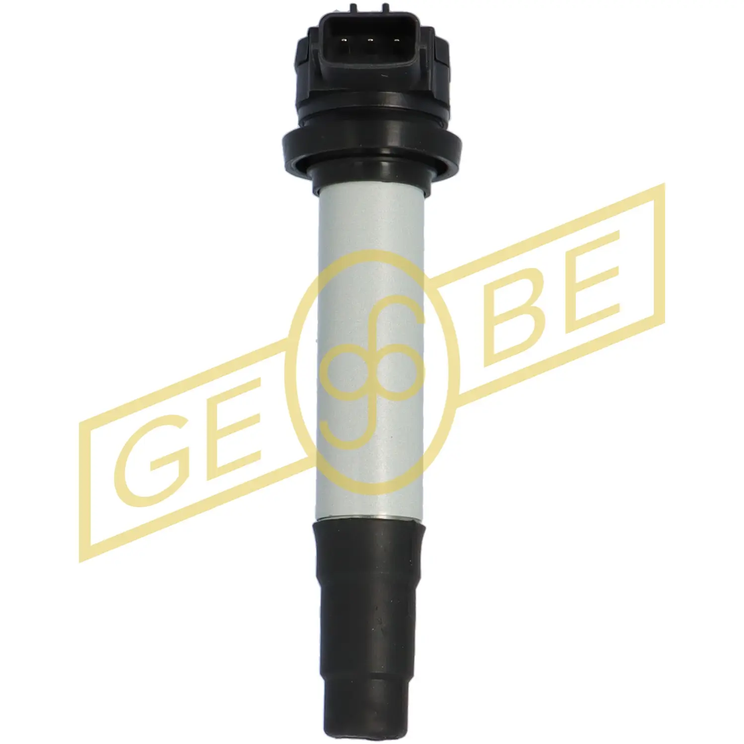 Kraftstoffpumpe im Kraftstofftank GEBE 9 6013 1