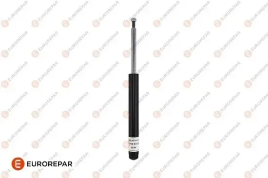 Stoßdämpfer EUROREPAR 1674693380 Bild Stoßdämpfer EUROREPAR 1674693380