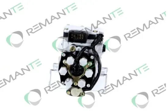 Einspritzpumpe REMANTE 002-001-000005R Bild Einspritzpumpe REMANTE 002-001-000005R