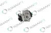 Hochdruckpumpe REMANTE 002-002-000431R Bild Hochdruckpumpe REMANTE 002-002-000431R