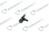 Einspritzdüse REMANTE 002-003-002123R Bild Einspritzdüse REMANTE 002-003-002123R