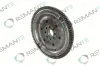 Schwungrad REMANTE 009-001-000030R Bild Schwungrad REMANTE 009-001-000030R