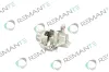 Bremssattel Hinterachse links hinter der Achse REMANTE 012-001-000529R