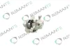 Bremssattel Hinterachse links hinter der Achse REMANTE 012-001-000557R