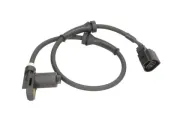 Sensor, Raddrehzahl Vorderachse links rechts ABE CCZ1012ABE