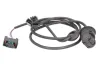 Sensor, Raddrehzahl Hinterachse links ABE CCZ1023ABE