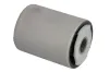 Lagerung, Blattfeder Hinterachse beidseitig Hinterachse Magnum Technology A5F002MT