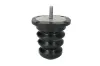 Anschlagpuffer, Federung Hinterachse Magnum Technology A8Y001 Bild Anschlagpuffer, Federung Hinterachse Magnum Technology A8Y001