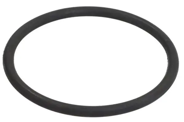 Dichtung, Federbeinstützlager Vorderachse Magnum Technology A94016