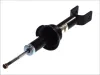 Stoßdämpfer Hinterachse Magnum Technology AG4010MT