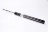 Stoßdämpfer Vorderachse Magnum Technology AGB019MT