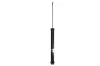 Stoßdämpfer Hinterachse Magnum Technology AGW082MT