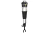 Luftfederbein vorne links Magnum Technology APA001MT