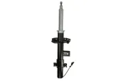 Stoßdämpfer Hinterachse links Magnum Technology APL021MT