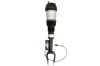 Luftfederbein vorne links vorne rechts Magnum Technology APM019MT