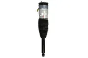 Luftfederbein Hinterachse beidseitig Magnum Technology APQ002MT