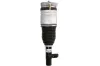 Luftfederbein vorne rechts Magnum Technology APV002MT