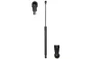 Gasfeder, Koffer-/Laderaum beidseitig Magnum Technology MGS0025