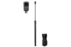 Gasfeder, Koffer-/Laderaum beidseitig Magnum Technology MGS0059