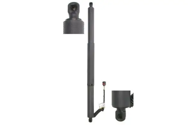 Elektromotor, Heckklappe Magnum Technology MGS0204MT