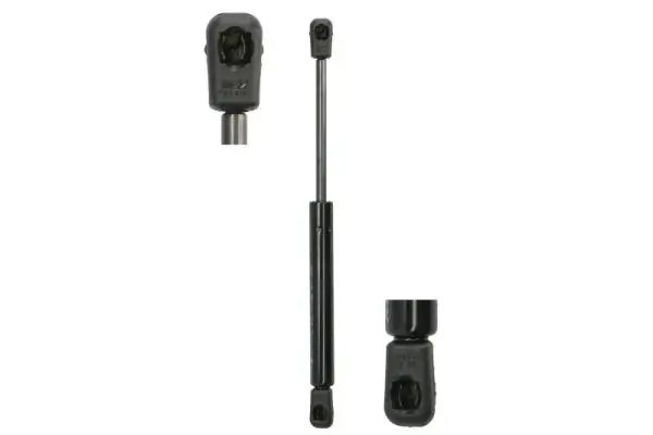 Gasfeder, Tür beidseitig Magnum Technology MGS123