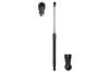 Gasfeder, Motorhaube beidseitig Magnum Technology MGS3007