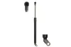 Gasfeder, Koffer-/Laderaum beidseitig Magnum Technology MGS3018