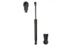 Gasfeder, Motorhaube beidseitig Magnum Technology MGS3019