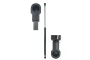 Gasfeder, Koffer-/Laderaum beidseitig Magnum Technology MGS3065