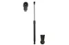 Gasfeder, Motorhaube beidseitig Magnum Technology MGS5013