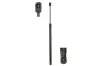 Gasfeder, Koffer-/Laderaum beidseitig Magnum Technology MGS5014