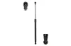 Gasfeder, Koffer-/Laderaum beidseitig Magnum Technology MGS8006