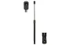 Gasfeder, Koffer-/Laderaum beidseitig Magnum Technology MGS8007