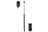 Gasfeder, Koffer-/Laderaum beidseitig Magnum Technology MGS8014