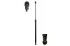 Gasfeder, Koffer-/Laderaum beidseitig Magnum Technology MGS8016
