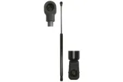 Gasfeder, Koffer-/Laderaum beidseitig Magnum Technology MGS8019