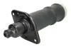 Luftfeder, Fahrwerk Hinterachse beidseitig Magnum Technology MZA010MT