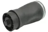 Luftfeder, Fahrwerk hinten links Magnum Technology MZB017MT Bild Luftfeder, Fahrwerk hinten links Magnum Technology MZB017MT