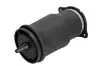 Luftfeder, Fahrwerk Hinterachse Magnum Technology MZM011MT Bild Luftfeder, Fahrwerk Hinterachse Magnum Technology MZM011MT